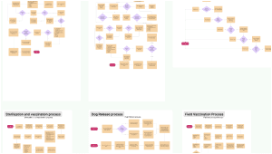  Information Architecture