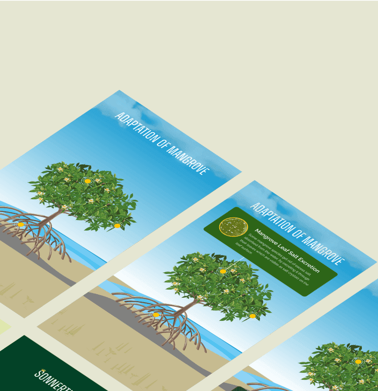 Mangrove Cell banner
