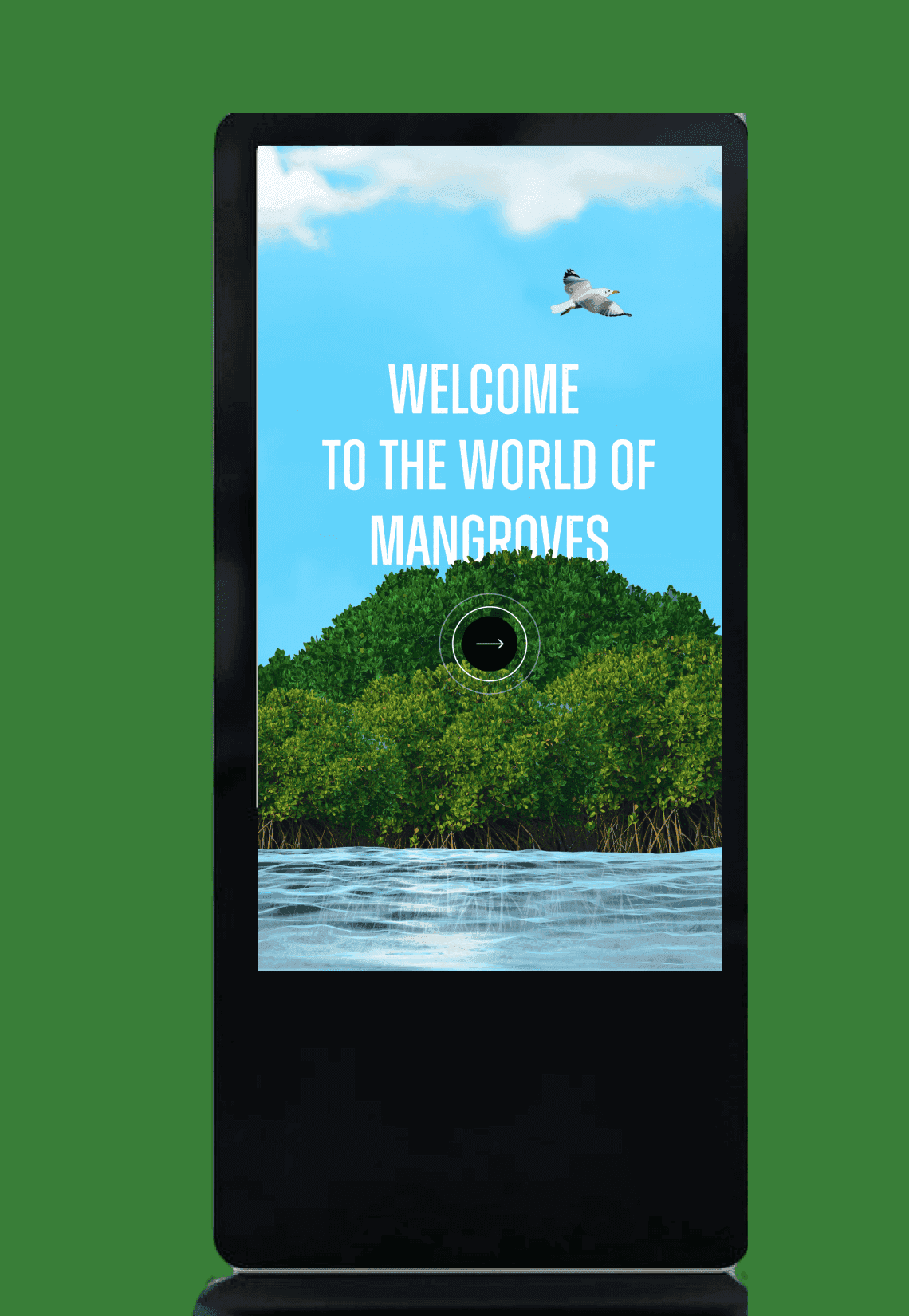 Mangrove Cell img-1