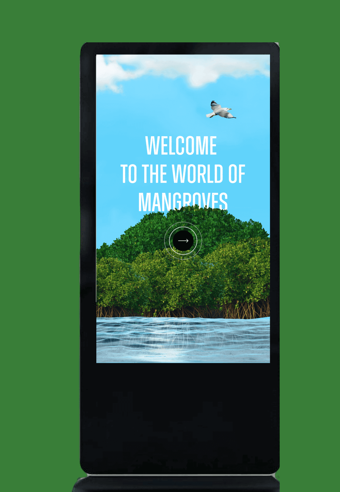 Designed to reflect the ecosystem itself.