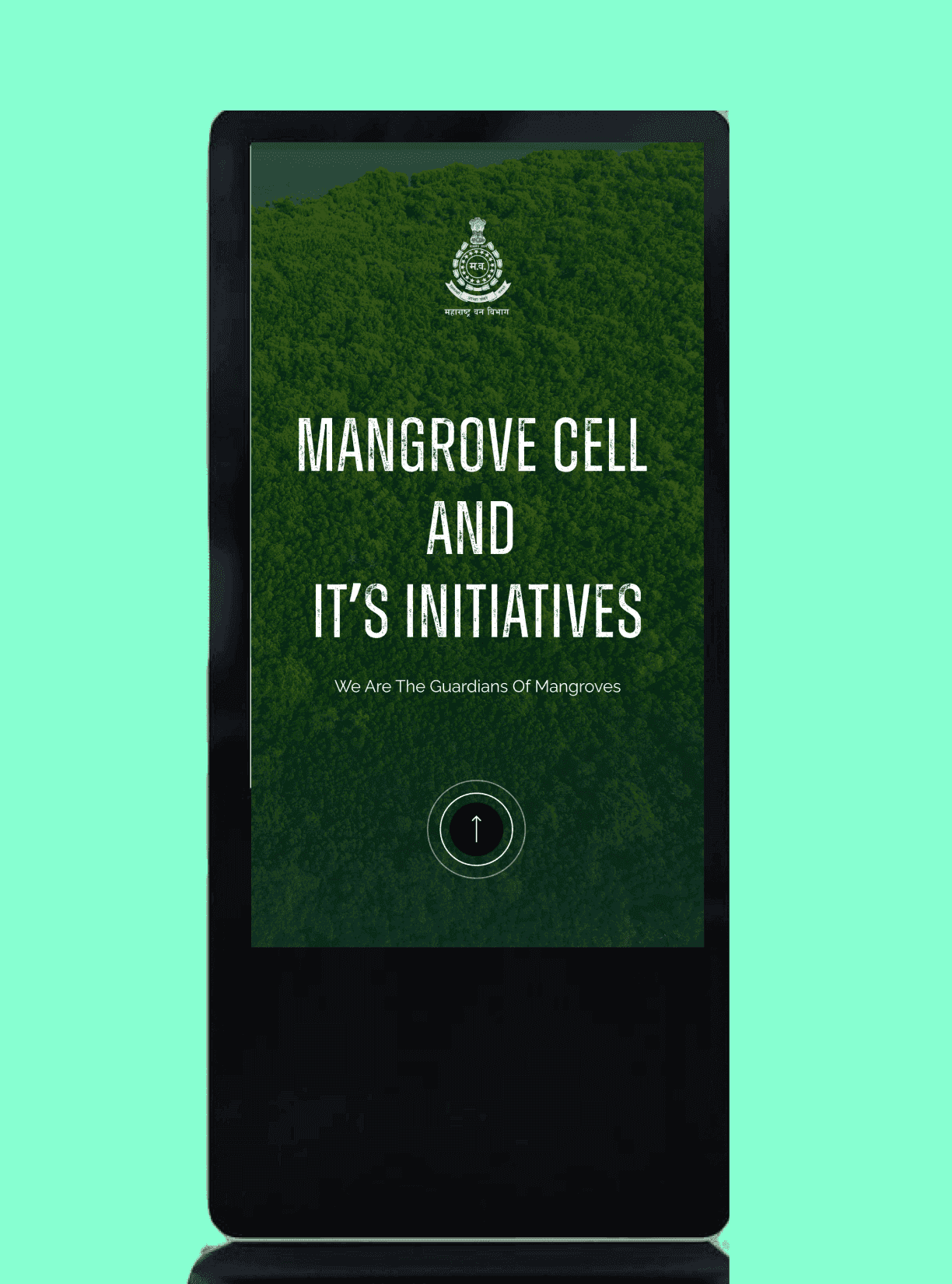 Mangrove Cell img-4