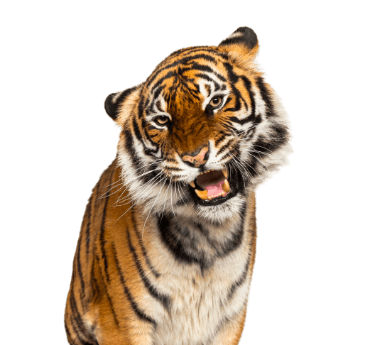 Mumbai Zoo (Veermata Jijabai Udyan) z9