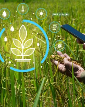 Agri & Sustainability digital solutions by 12Grids