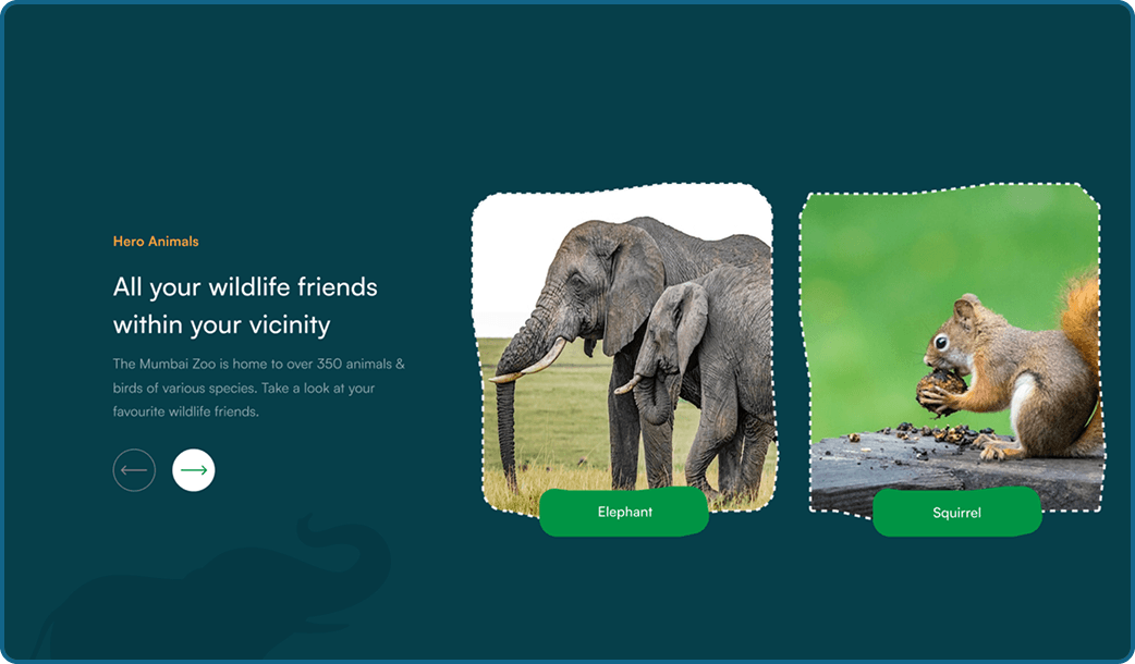 User Interface That Speaks to All