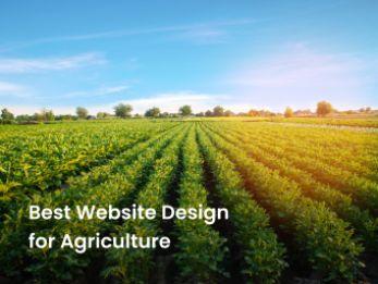 Harvesting Progress: Best Website Design for Agriculture