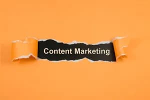 How Content Marketing Transformed Goldstab Organics’ Online Presence?