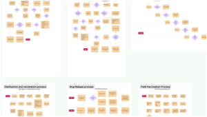  Information Architecture