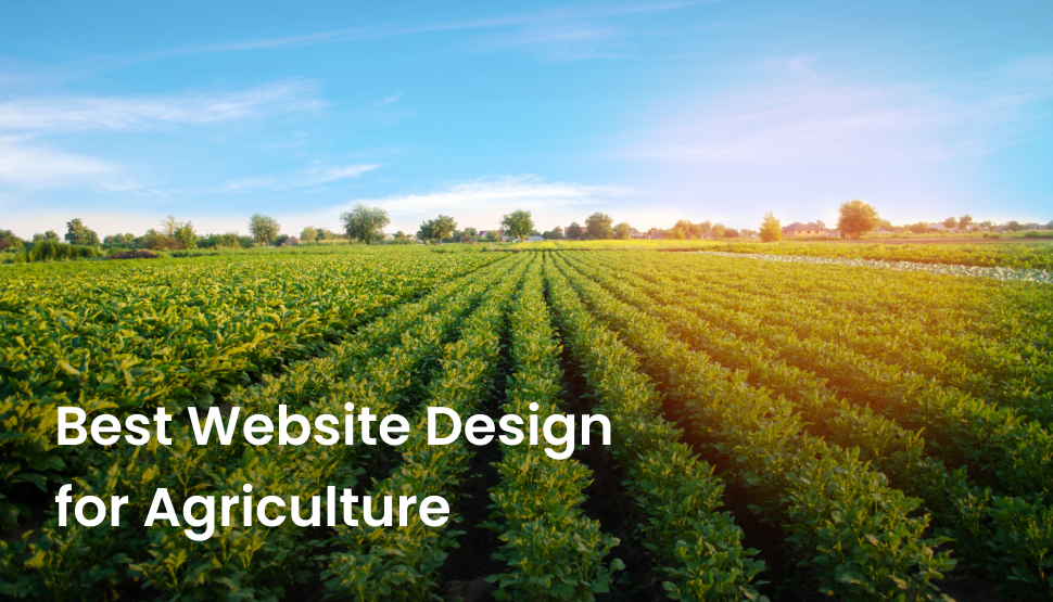 Harvesting Progress: Best Website Design for Agriculture